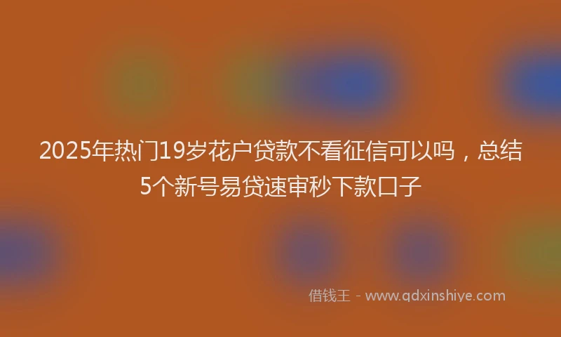 2025年热门19岁花户贷款不看征信可以吗，总结5个新号易贷速审秒下款口子