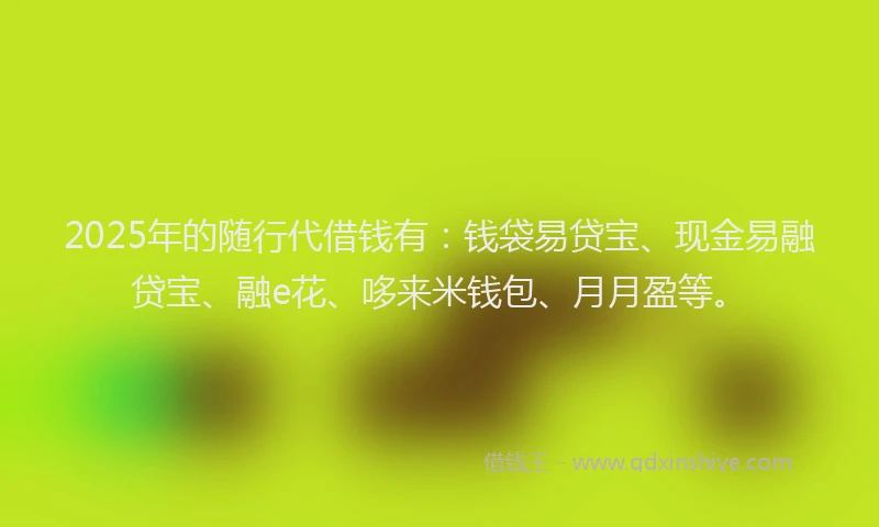 2025年的随行代借钱有：钱袋易贷宝、现金易融贷宝、融e花、哆来米钱包、月月盈等。