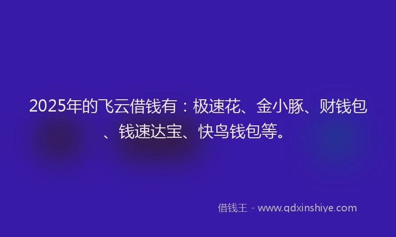 2025年的飞云借钱有：极速花、金小豚、财钱包、钱速达宝、快鸟钱包等。