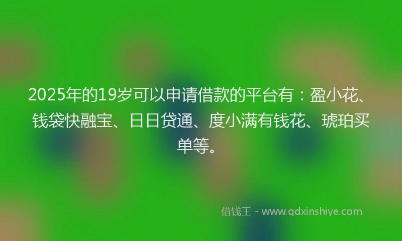 2025年的19岁可以申请借款的平台有：盈小花、钱袋快融宝、日日贷通、度小满有钱花、琥珀买单等。
