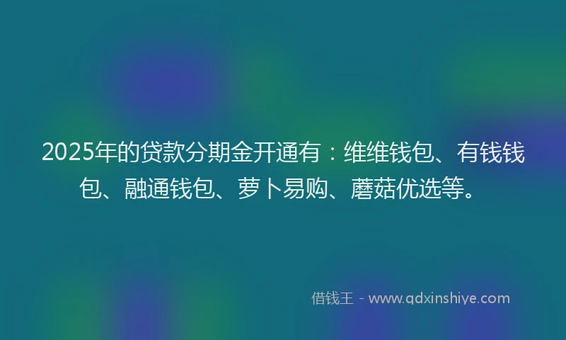 2025年的贷款分期金开通有：维维钱包、有钱钱包、融通钱包、萝卜易购、蘑菇优选等。