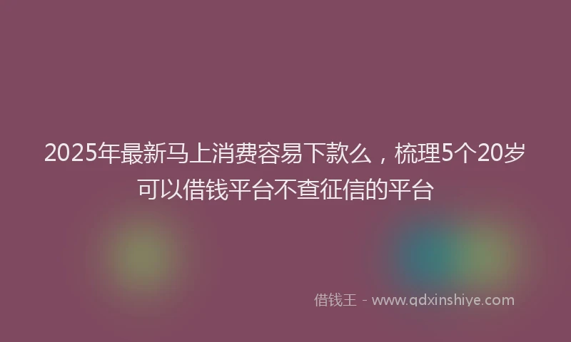2025年最新马上消费容易下款么，梳理5个20岁可以借钱平台不查征信的平台