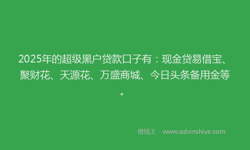 2025年的超级黑户贷款口子有：现金贷易借宝、聚财花、天源花、万盛商城、今日头条备用金等。