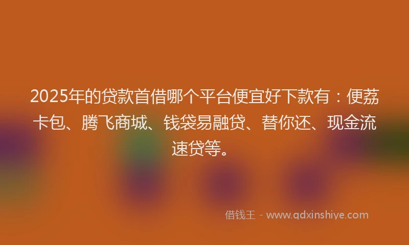 2025年的贷款首借哪个平台便宜好下款有：便荔卡包、腾飞商城、钱袋易融贷、替你还、现金流速贷等。