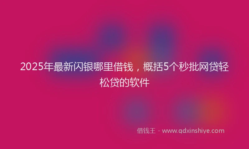 2025年最新闪银哪里借钱，概括5个秒批网贷轻松贷的软件