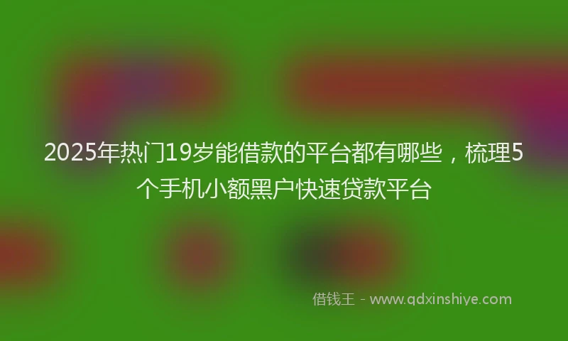 2025年热门19岁能借款的平台都有哪些，梳理5个手机小额黑户快速贷款平台