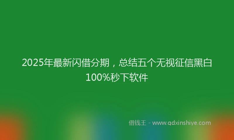 2025年最新闪借分期，总结五个无视征信黑白100%秒下软件