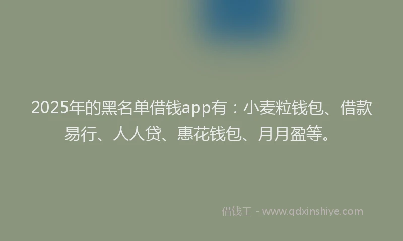 2025年的黑名单借钱app有：小麦粒钱包、借款易行、人人贷、惠花钱包、月月盈等。