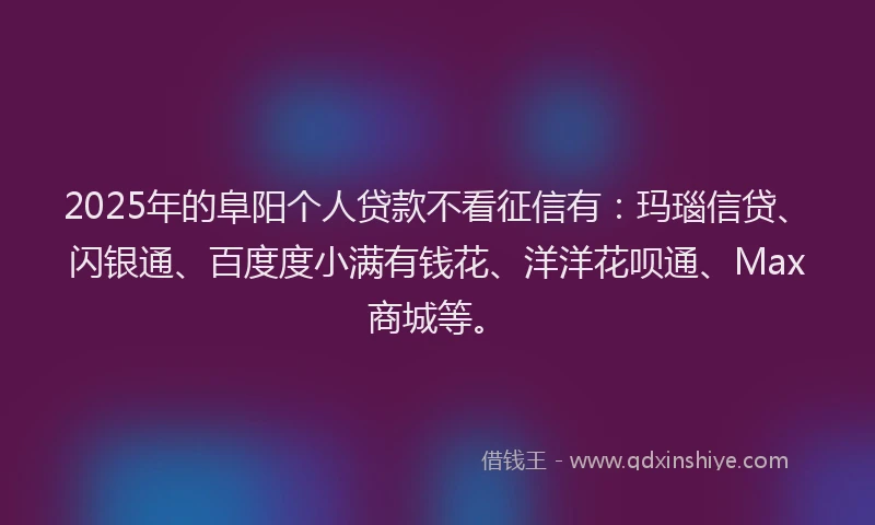 2025年的阜阳个人贷款不看征信有：玛瑙信贷、闪银通、百度度小满有钱花、洋洋花呗通、Max商城等。