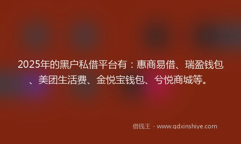 2025年的黑户私借平台有：惠商易借、瑞盈钱包、美团生活费、金悦宝钱包、兮悦商城等。
