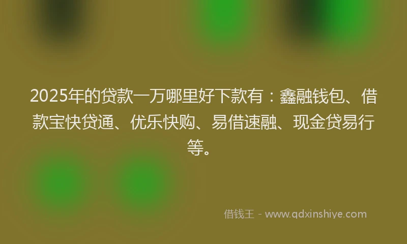 2025年的贷款一万哪里好下款有：鑫融钱包、借款宝快贷通、优乐快购、易借速融、现金贷易行等。