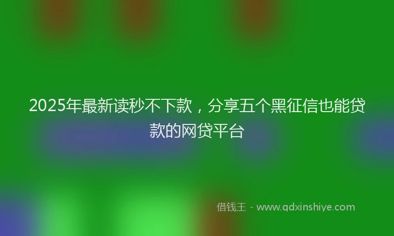 2025年最新读秒不下款，分享五个黑征信也能贷款的网贷平台