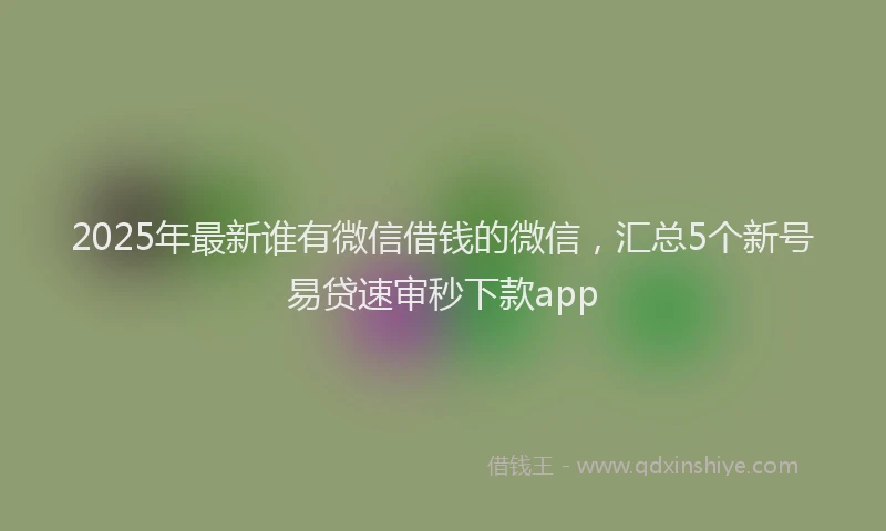 2025年最新谁有微信借钱的微信，汇总5个新号易贷速审秒下款app