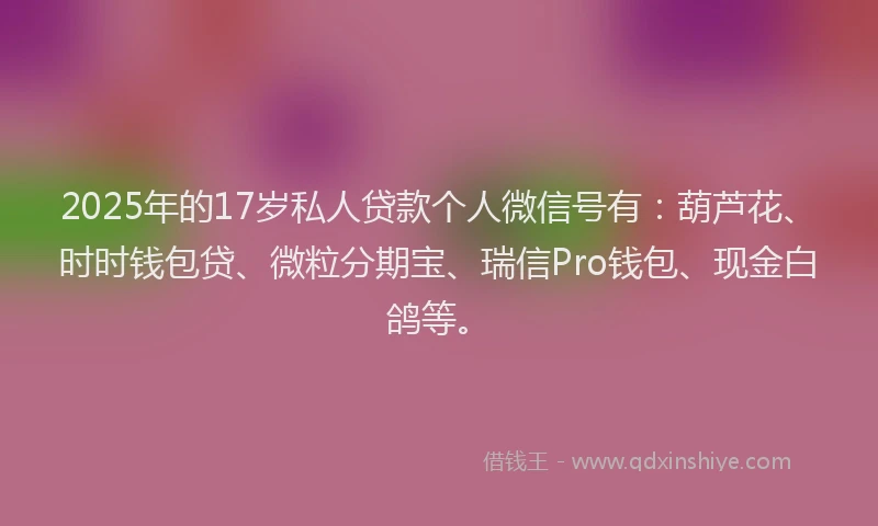 2025年的17岁私人贷款个人微信号有：葫芦花、时时钱包贷、微粒分期宝、瑞信Pro钱包、现金白鸽等。