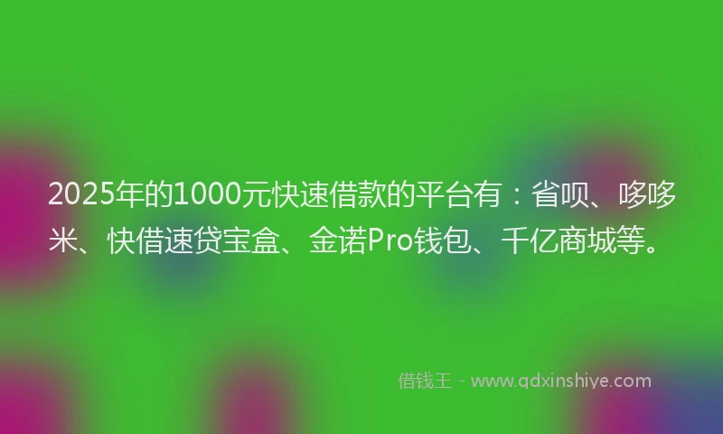 2025年的1000元快速借款的平台有：省呗、哆哆米、快借速贷宝盒、金诺Pro钱包、千亿商城等。