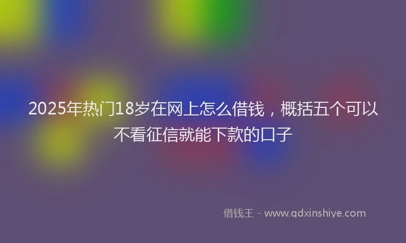 2025年热门18岁在网上怎么借钱，概括五个可以不看征信就能下款的口子