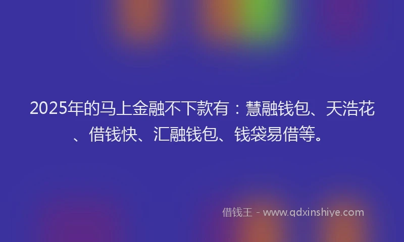 2025年的马上金融不下款有：慧融钱包、天浩花、借钱快、汇融钱包、钱袋易借等。