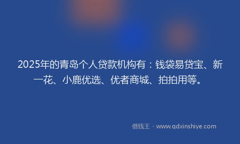 2025年的青岛个人贷款机构有:钱袋易贷宝、新一花、小鹿优选、优者商城、拍拍用等。