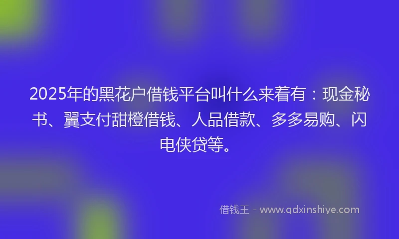 2025年的黑花户借钱平台叫什么来着有：现金秘书、翼支付甜橙借钱、人品借款、多多易购、闪电侠贷等。