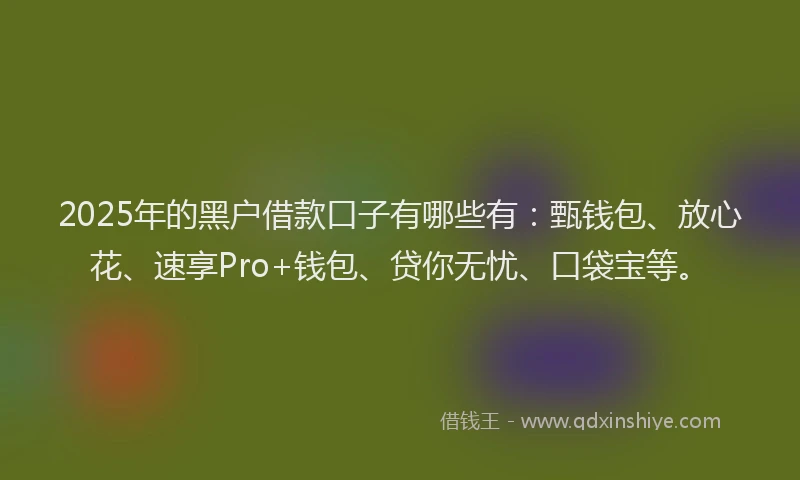 2025年的黑户借款口子有哪些有：甄钱包、放心花、速享Pro+钱包、贷你无忧、口袋宝等。