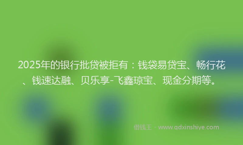 2025年的银行批贷被拒有：钱袋易贷宝、畅行花、钱速达融、贝乐享-飞鑫琼宝、现金分期等。