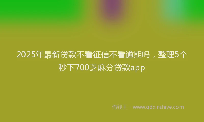 2025年最新贷款不看征信不看逾期吗，整理5个秒下700芝麻分贷款app