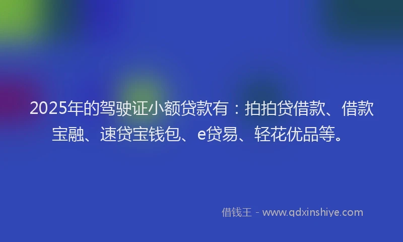 2025年的驾驶证小额贷款有：拍拍贷借款、借款宝融、速贷宝钱包、e贷易、轻花优品等。