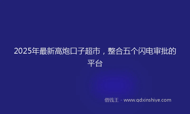 2025年最新高炮口子超市，整合五个闪电审批的平台