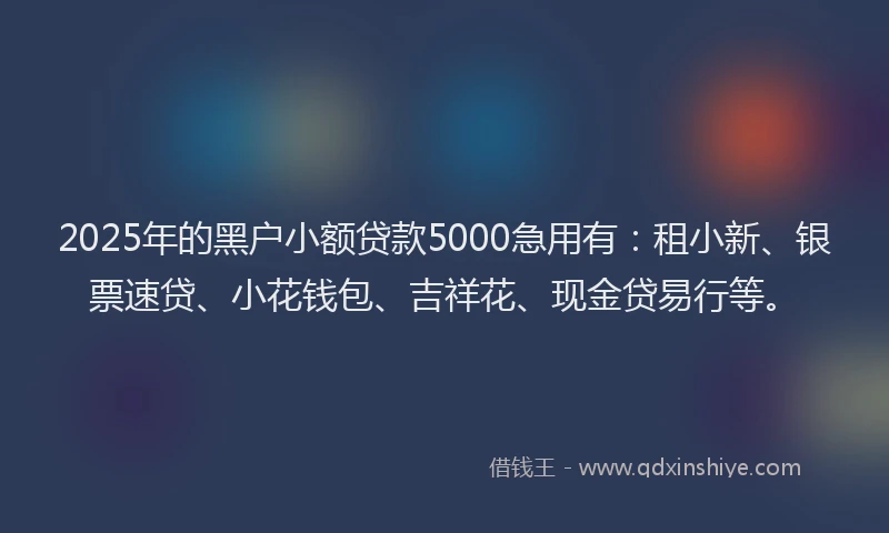 2025年的黑户小额贷款5000急用有：租小新、银票速贷、小花钱包、吉祥花、现金贷易行等。