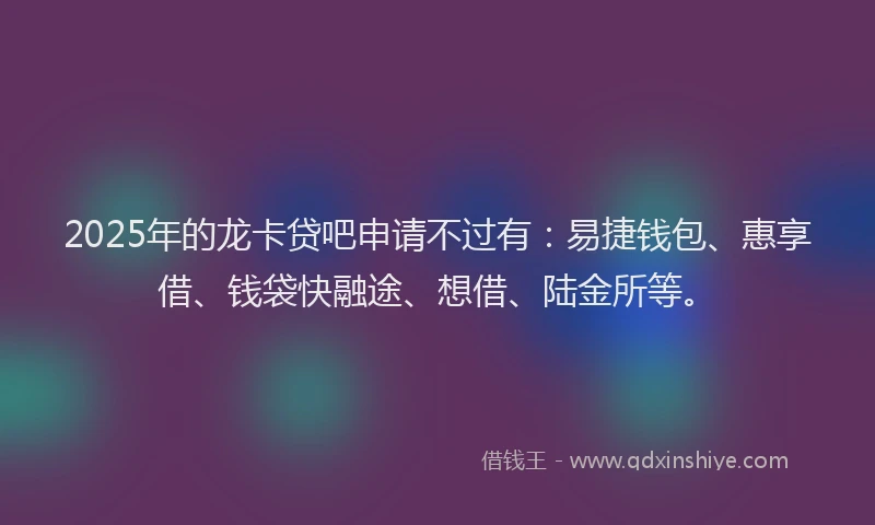 2025年的龙卡贷吧申请不过有：易捷钱包、惠享借、钱袋快融途、想借、陆金所等。