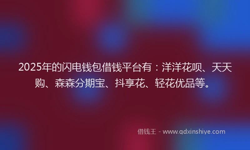2025年的闪电钱包借钱平台有：洋洋花呗、天天购、森森分期宝、抖享花、轻花优品等。