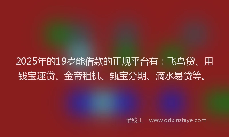 2025年的19岁能借款的正规平台有：飞鸟贷、用钱宝速贷、金帝租机、甄宝分期、滴水易贷等。