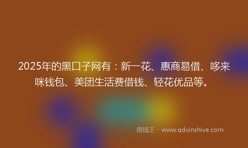 2025年的黑口子网有：新一花、惠商易借、哆来咪钱包、美团生活费借钱、轻花优品等。