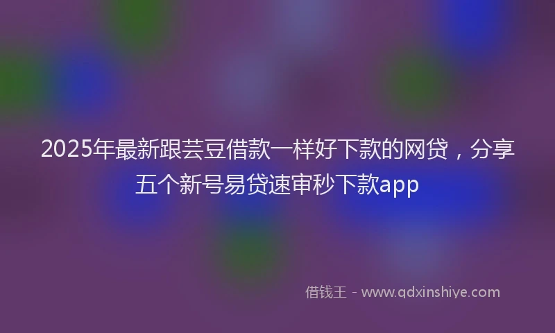 2025年最新跟芸豆借款一样好下款的网贷，分享五个新号易贷速审秒下款app