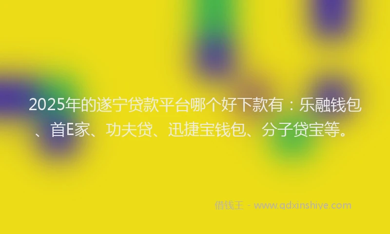 2025年的遂宁贷款平台哪个好下款有：乐融钱包、首E家、功夫贷、迅捷宝钱包、分子贷宝等。