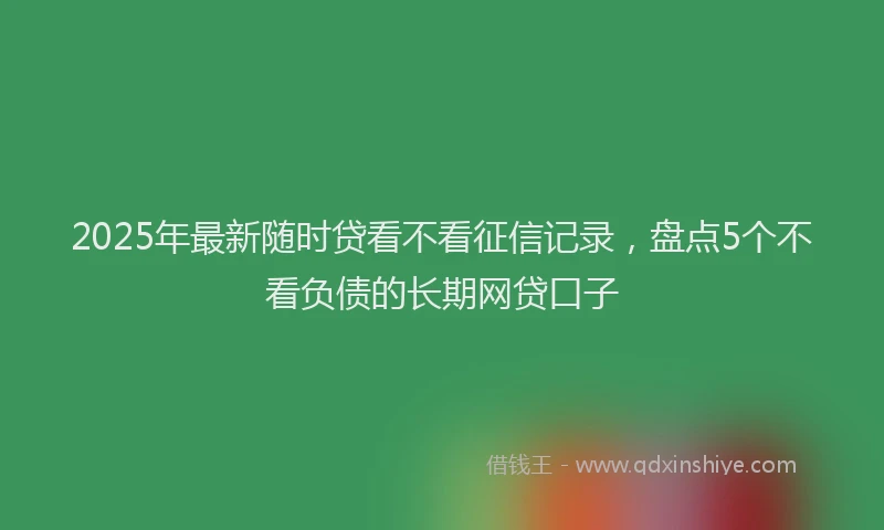 2025年最新随时贷看不看征信记录，盘点5个不看负债的长期网贷口子
