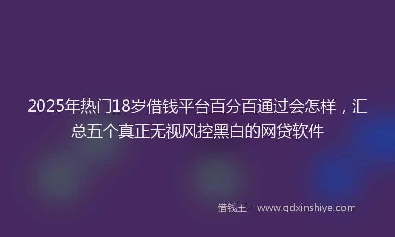 2025年热门18岁借钱平台百分百通过会怎样，汇总五个真正无视风控黑白的网贷软件
