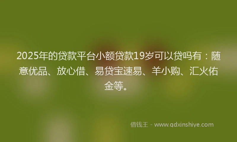 2025年的贷款平台小额贷款19岁可以贷吗有：随意优品、放心借、易贷宝速易、羊小购、汇火佑金等。