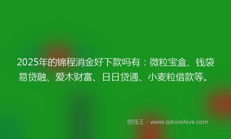2025年的锦程消金好下款吗有：微粒宝盒、钱袋易贷融、爱木财富、日日贷通、小麦粒借款等。