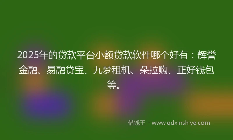 2025年的贷款平台小额贷款软件哪个好有：辉誉金融、易融贷宝、九梦租机、朵拉购、正好钱包等。