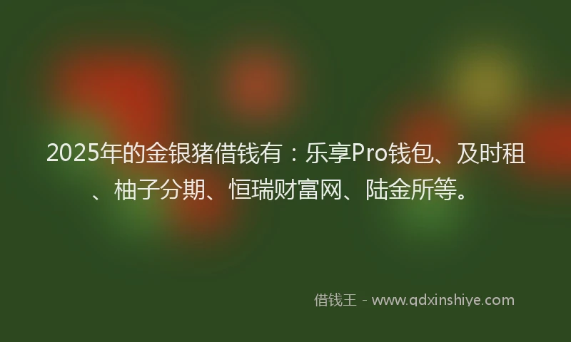 2025年的金银猪借钱有：乐享Pro钱包、及时租、柚子分期、恒瑞财富网、陆金所等。