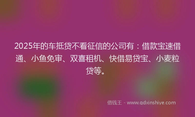 2025年的车抵贷不看征信的公司有：借款宝速借通、小鱼免审、双喜租机、快借易贷宝、小麦粒贷等。