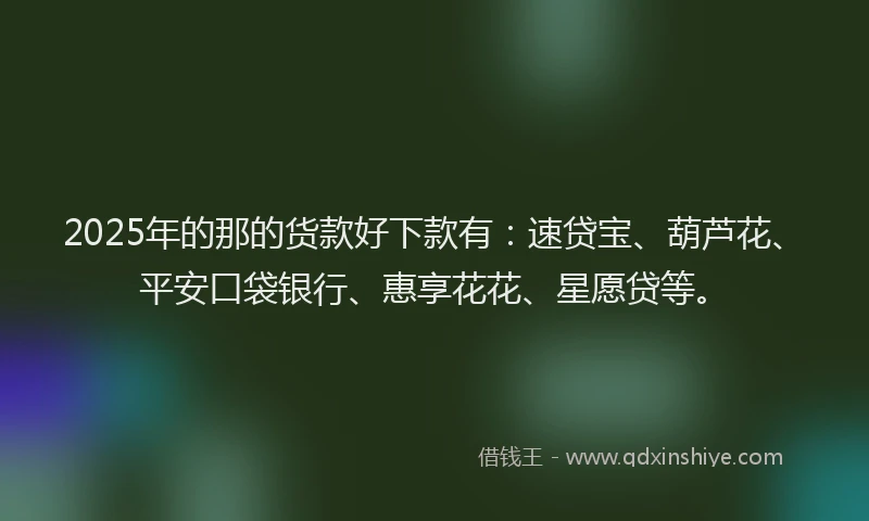 2025年的那的货款好下款有：速贷宝、葫芦花、平安口袋银行、惠享花花、星愿贷等。