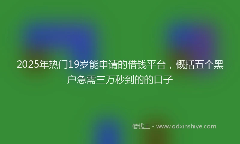 2025年热门19岁能申请的借钱平台，概括五个黑户急需三万秒到的的口子
