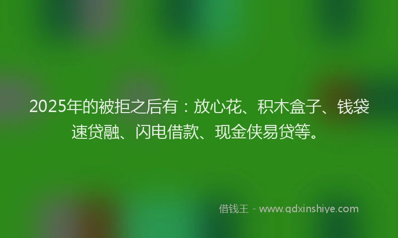 2025年的被拒之后有：放心花、积木盒子、钱袋速贷融、闪电借款、现金侠易贷等。