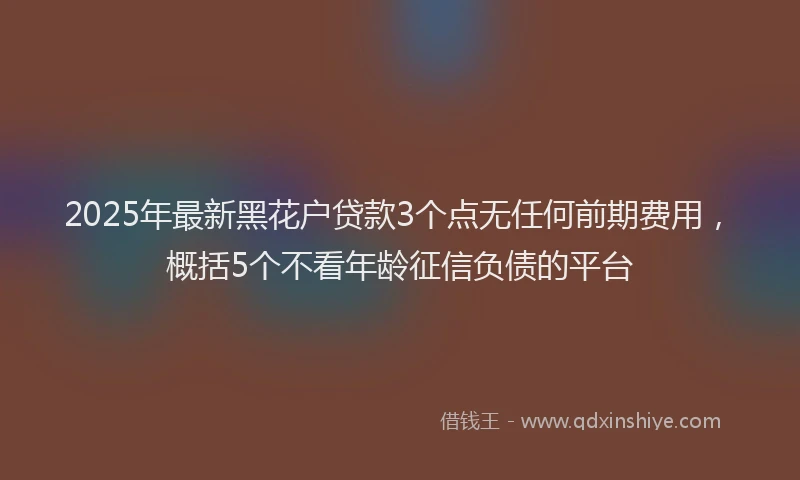 2025年最新黑花户贷款3个点无任何前期费用，概括5个不看年龄征信负债的平台