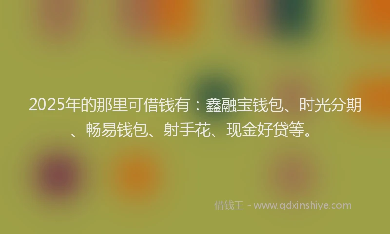 2025年的那里可借钱有：鑫融宝钱包、时光分期、畅易钱包、射手花、现金好贷等。