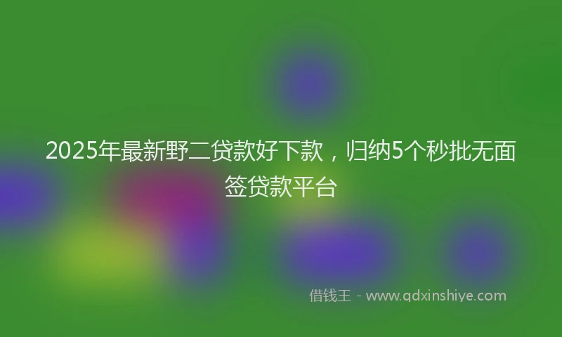 2025年最新野二贷款好下款，归纳5个秒批无面签贷款平台
