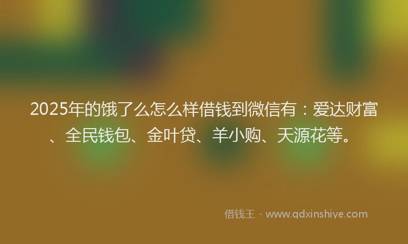 2025年的饿了么怎么样借钱到微信有:爱达财富、全民钱包、金叶贷、羊小购、天源花等。