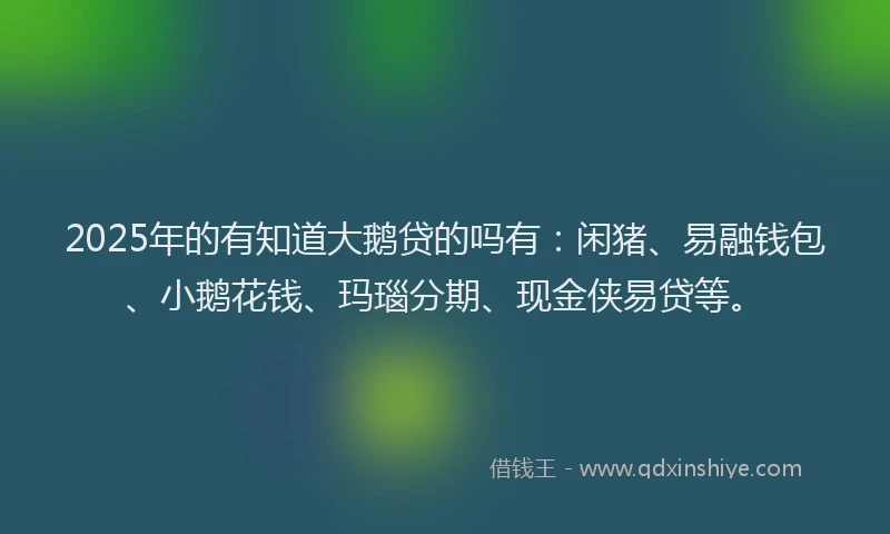 2025年的有知道大鹅贷的吗有：闲猪、易融钱包、小鹅花钱、玛瑙分期、现金侠易贷等。